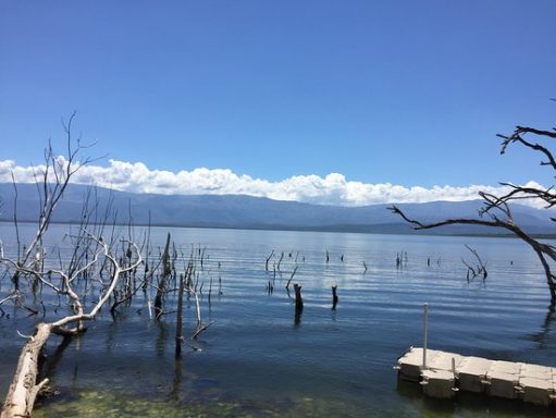 Ruhevoller See mit klarem Wasser und kahlen Baumstümpfen, im Hintergrund Berge und blauer Himmel.