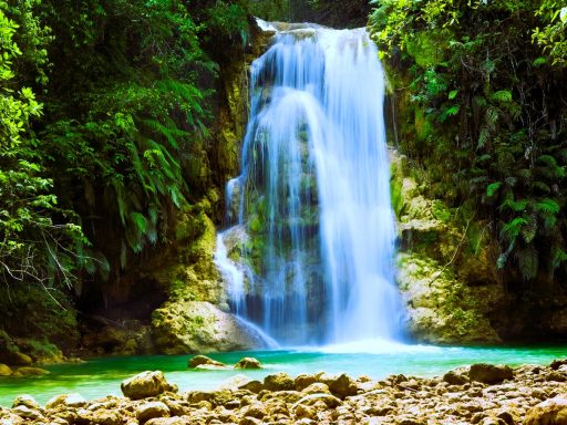Ein malerischer Wasserfall fließt in einen klaren, grünen Pool, umgeben von üppiger Vegetation.