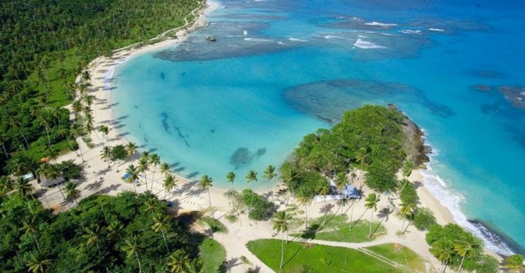 Tropischer Strand mit klarem Wasser, Palmen und Küstenlinie in einer ruhigen Umgebung.
